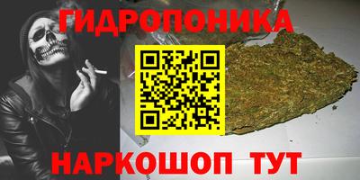 прущие грибы Партизанск