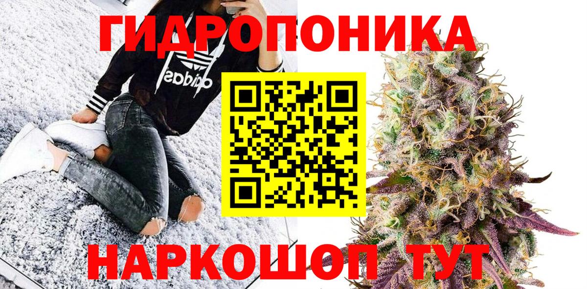 Конопля гибрид Петропавловск-Камчатский